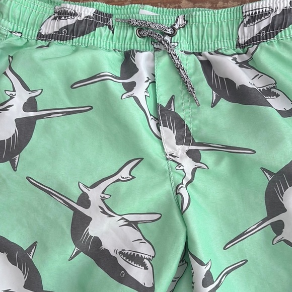 Carter's Kids Swim Shorts - Green Shark and Red Striped - Picture 5 of 7
